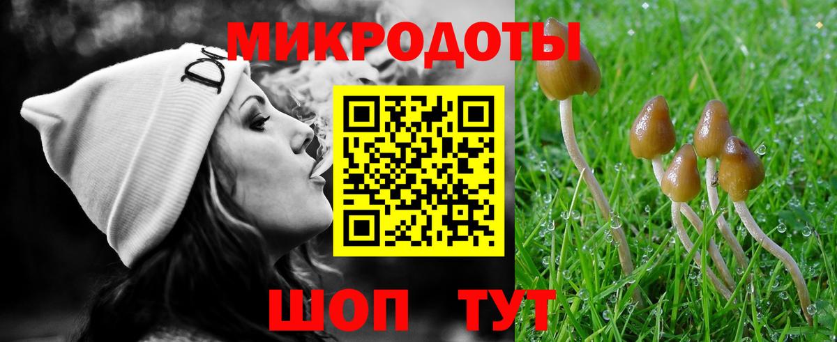 Псилоцибиновые грибы прущие грибы  Вход с VPN  Алатырь  Галлюциногенные грибы ЛСД 